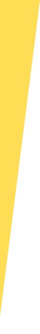 Vector 1